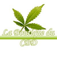 LA BOUTIQUE DU CBD BEYLONGUE 